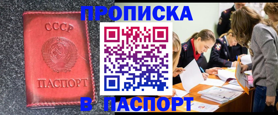 прописка для школы в Великом Новгороде